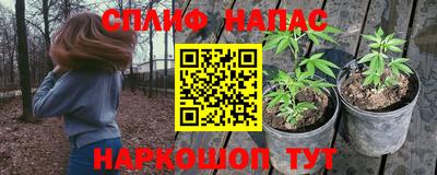альфа пвп Заволжье