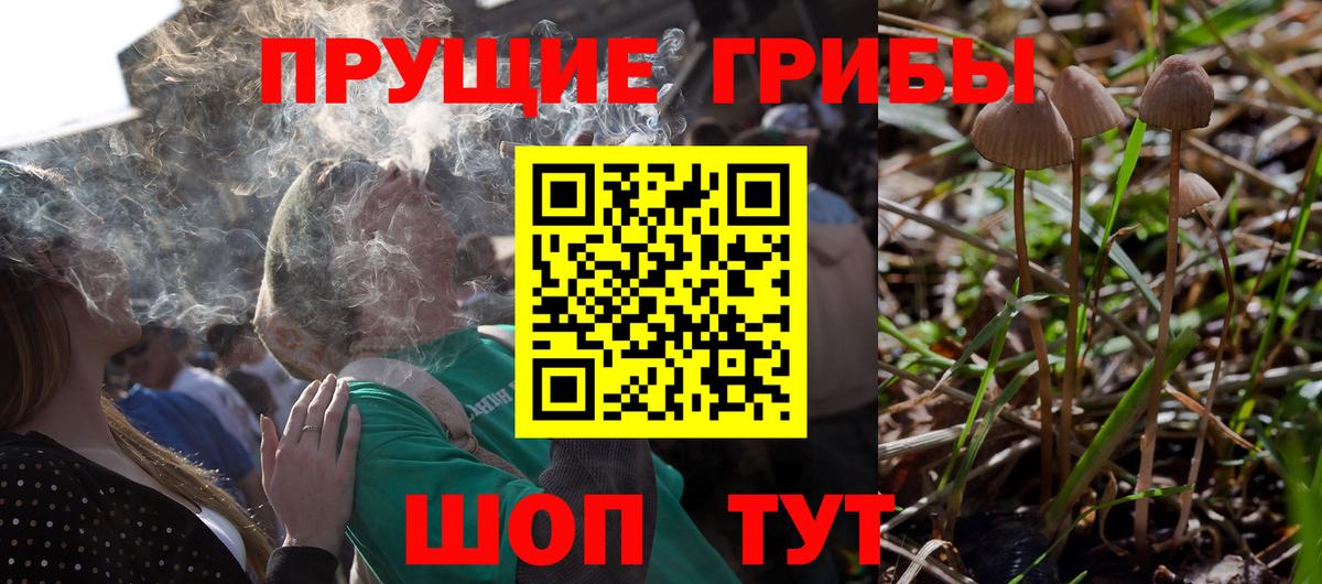 Галлюциногенные грибы мухоморы Магнитогорск