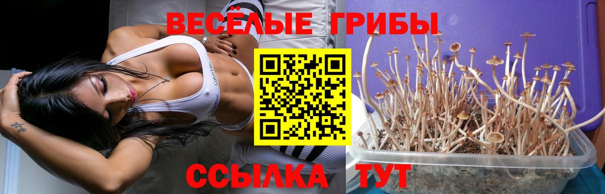 Галлюциногенные грибы GOLDEN TEACHER  Вход с VPN  Галлюциногенные грибы Magic Shrooms  Магнитогорск 